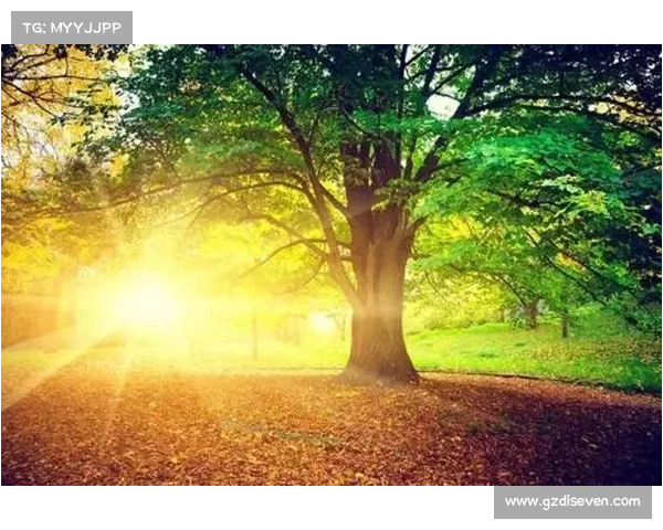 希望这些标题能够符合您的要求并满足您的需求